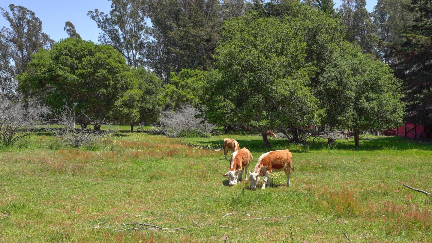 0 Cunnison Lane, SOQUEL, California 95073, ,Lots And Land,For Sale,Cunnison Lane,40964506