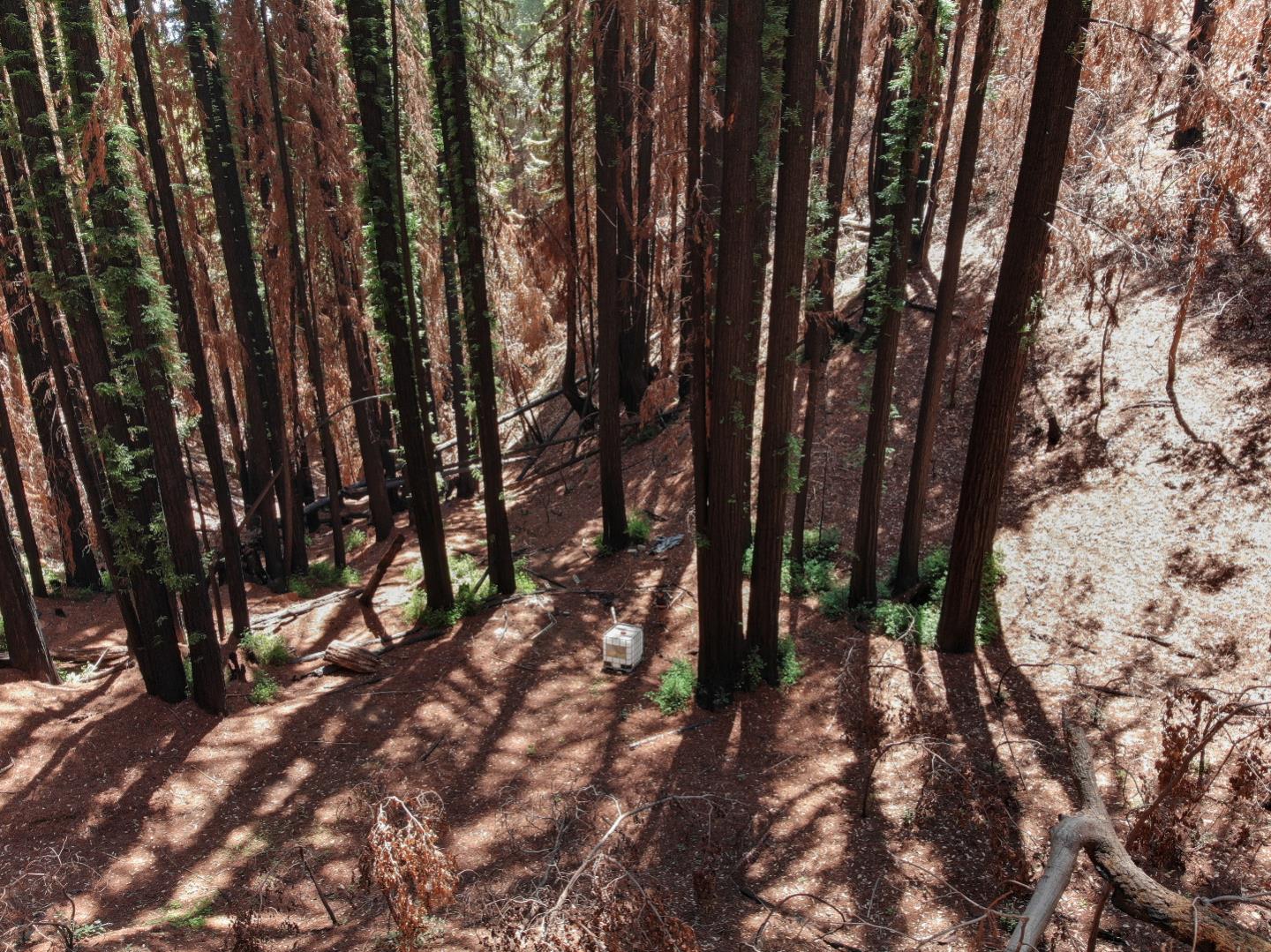 07831102 Jim's Road, BEN LOMOND, California 95005, ,Lots And Land,For Sale,Jim's Road,40964532