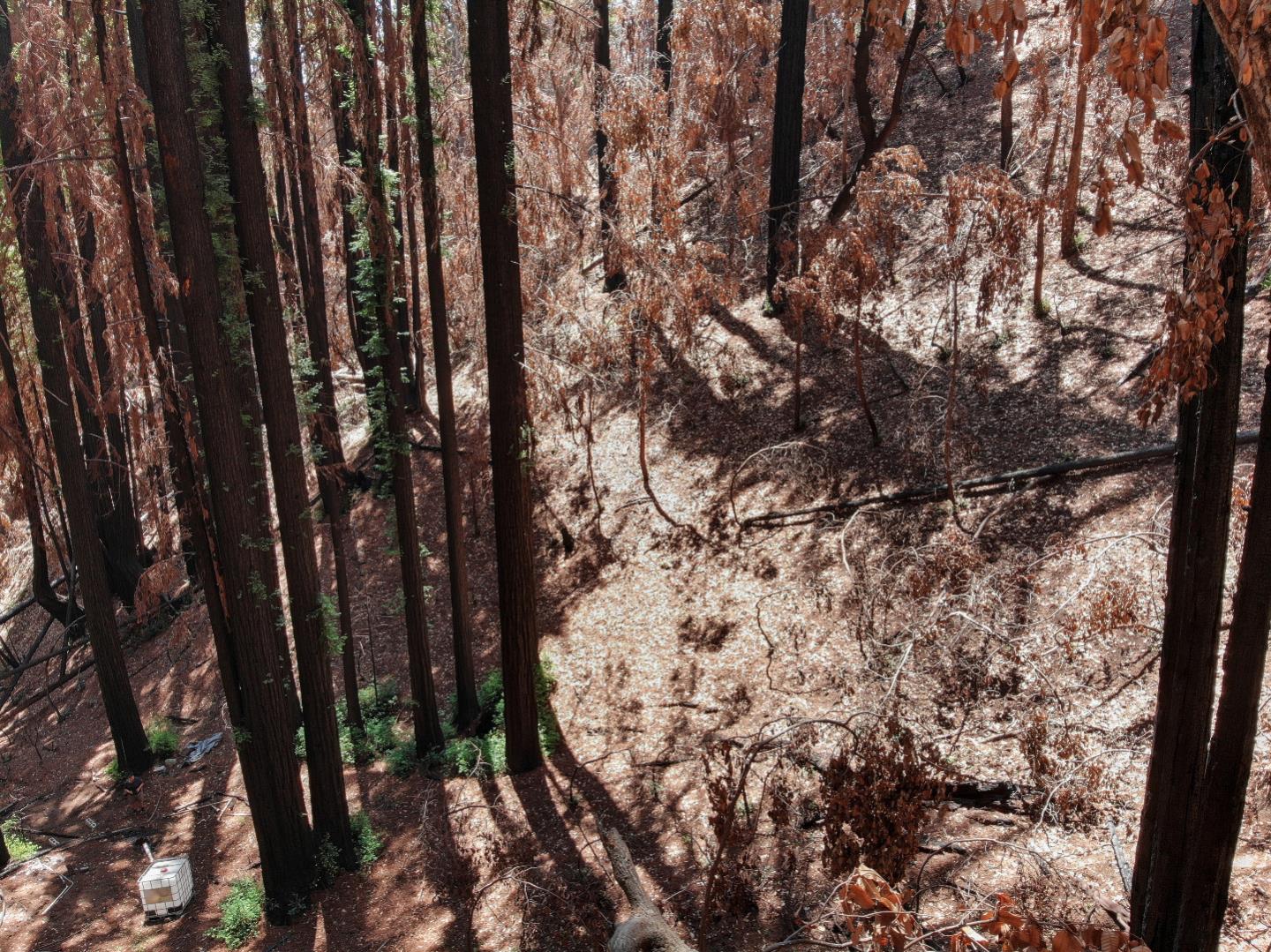 07831102 Jim's Road, BEN LOMOND, California 95005, ,Lots And Land,For Sale,Jim's Road,40964532