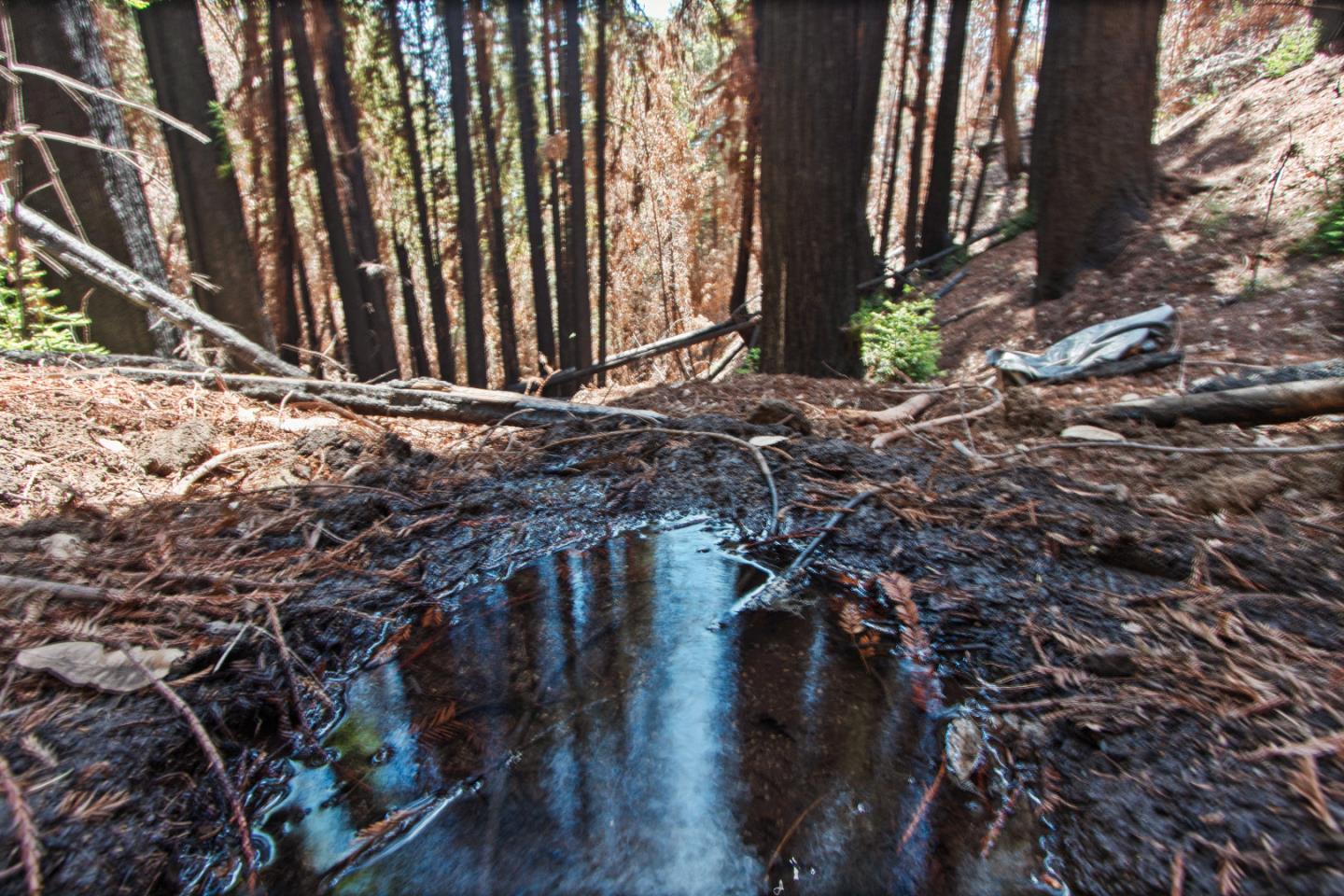 07831102 Jim's Road, BEN LOMOND, California 95005, ,Lots And Land,For Sale,Jim's Road,40964532