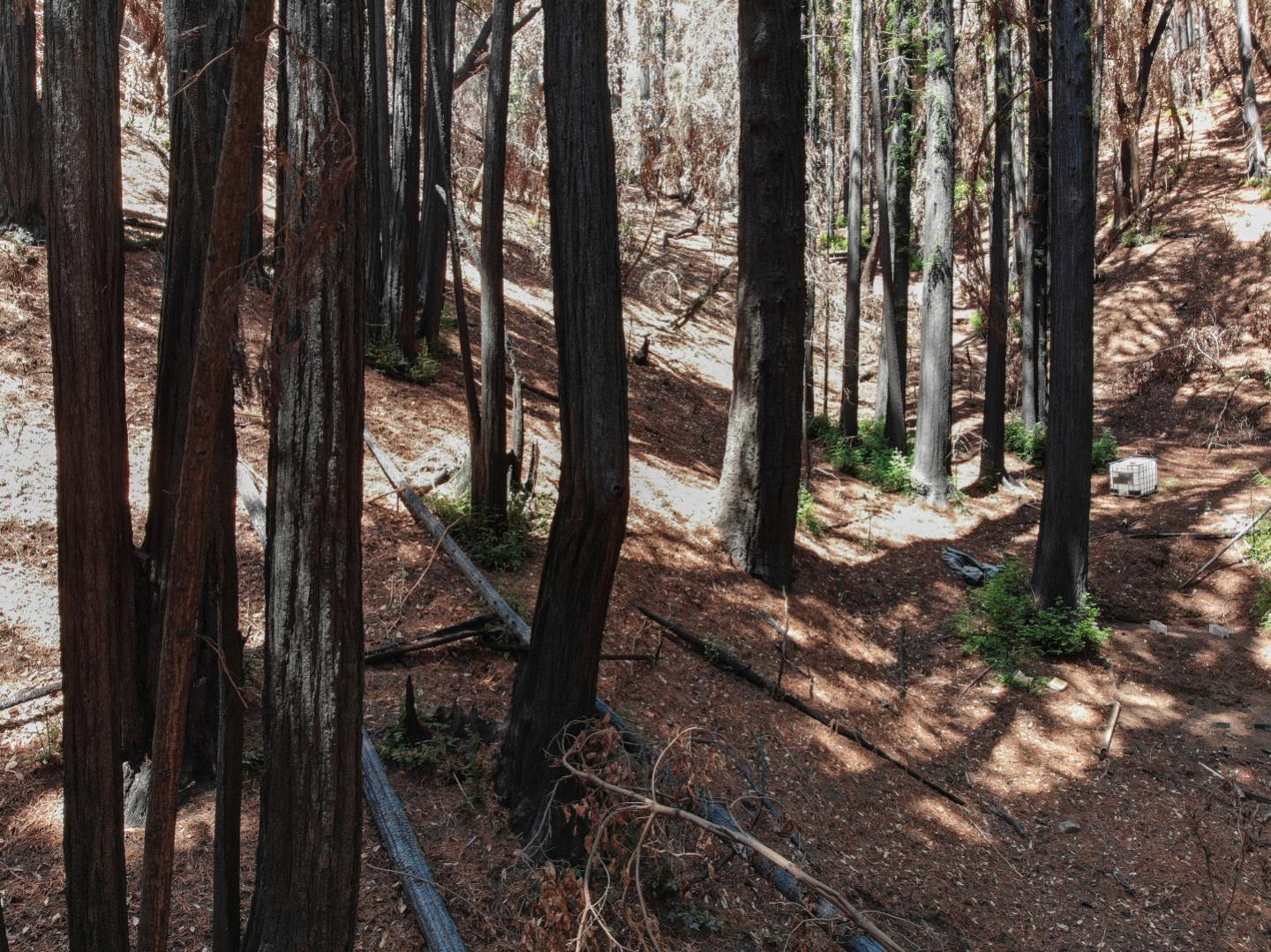 07831102 Jim's Road, BEN LOMOND, California 95005, ,Lots And Land,For Sale,Jim's Road,40964532