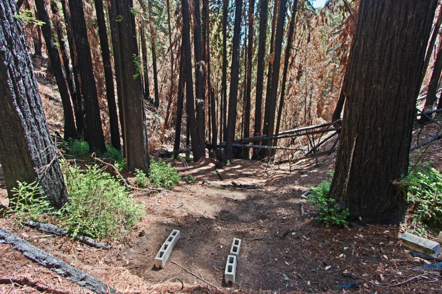 07831102 Jim's Road, BEN LOMOND, California 95005, ,Lots And Land,For Sale,Jim's Road,40964532
