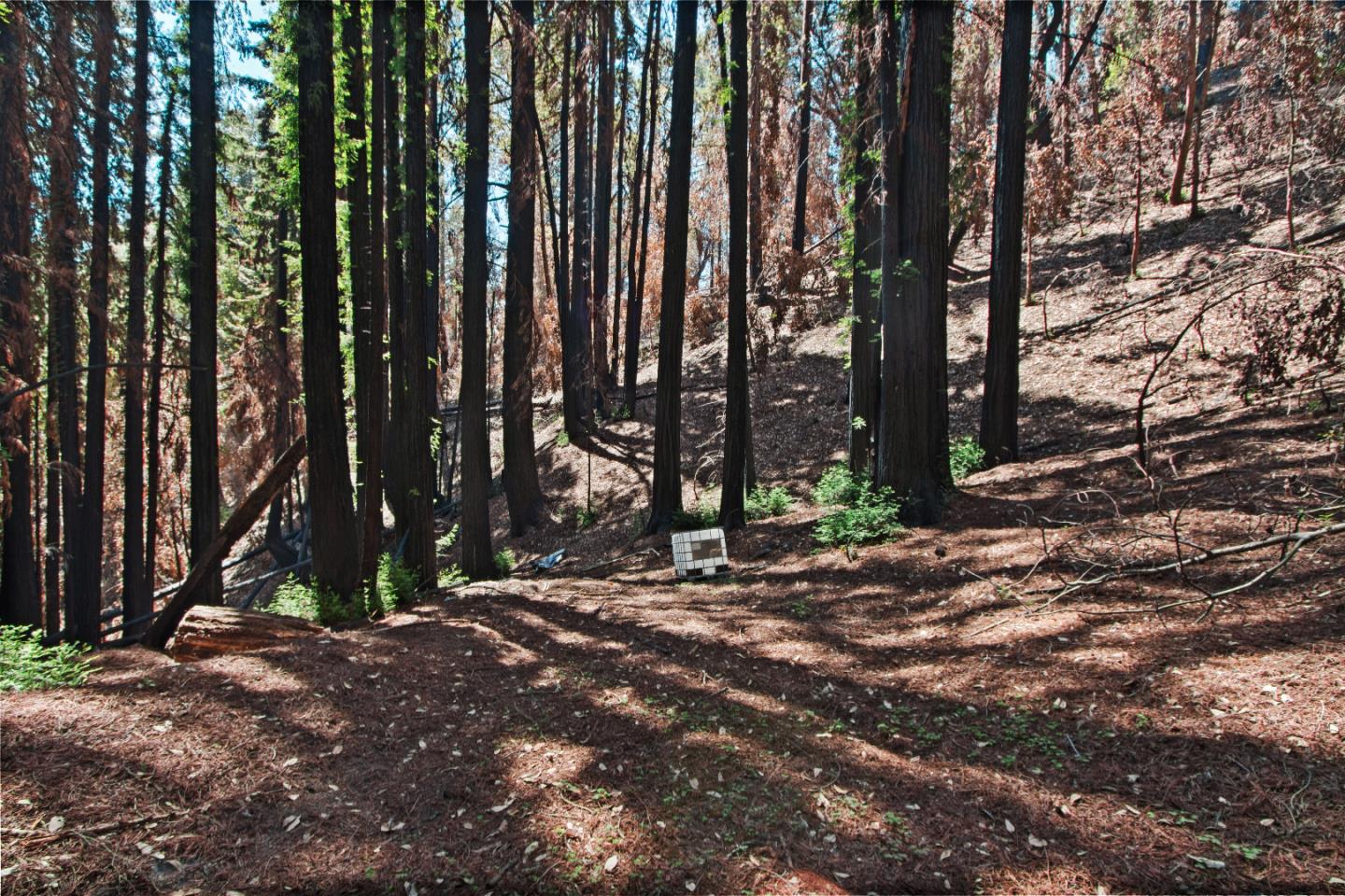 07831102 Jim's Road, BEN LOMOND, California 95005, ,Lots And Land,For Sale,Jim's Road,40964532