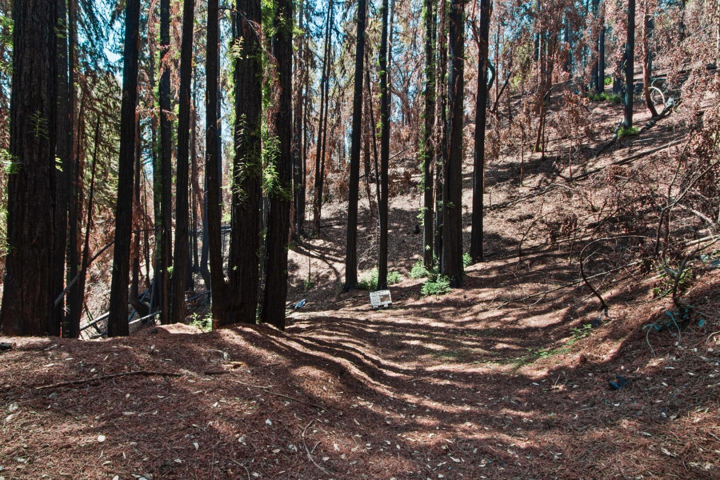 07831102 Jim's Road, BEN LOMOND, California 95005, ,Lots And Land,For Sale,Jim's Road,40964532