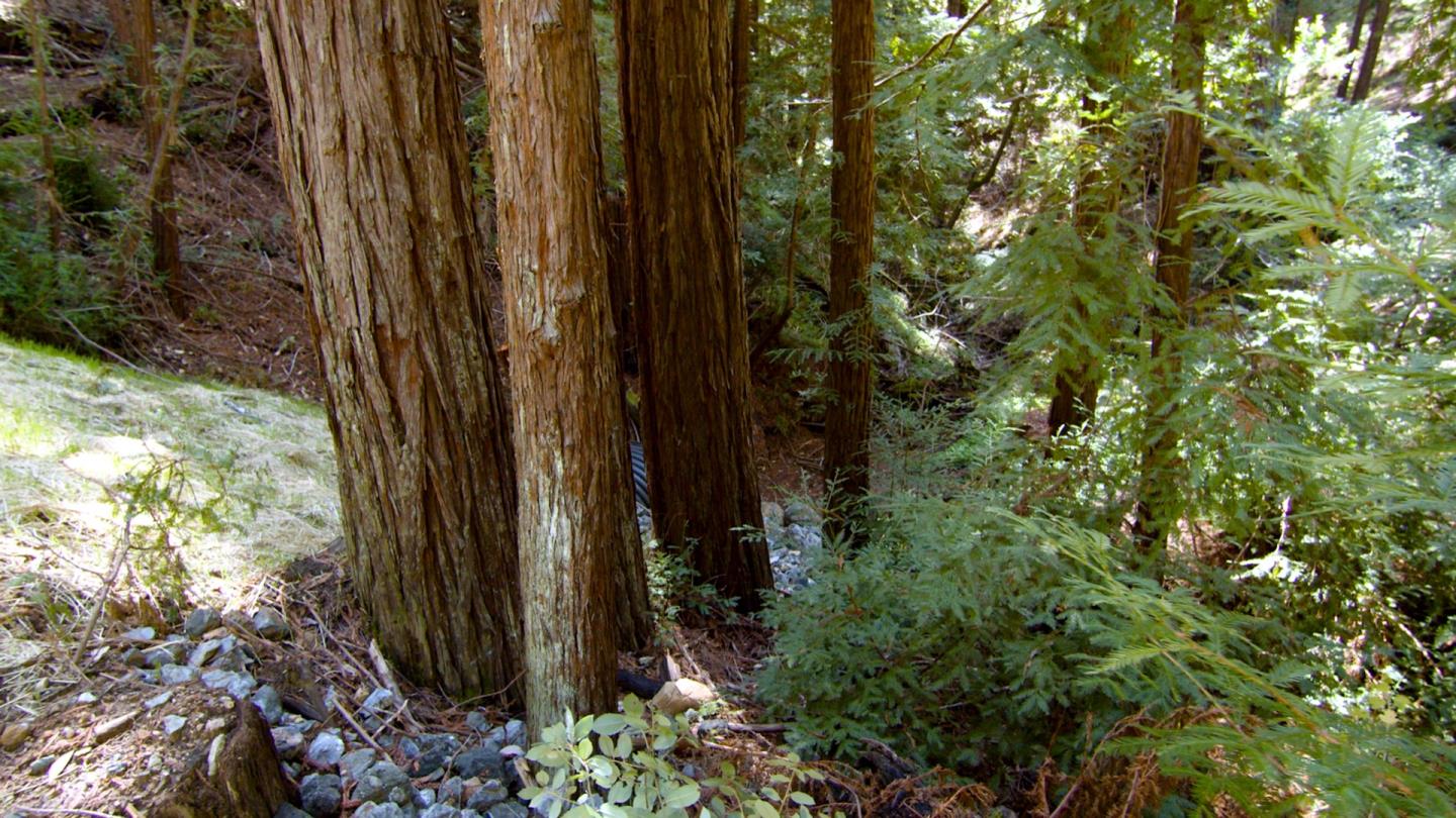 24021 Highway 9, LOS GATOS, California 95033, ,Comm Lots And Land,For Sale,Highway 9,40969349