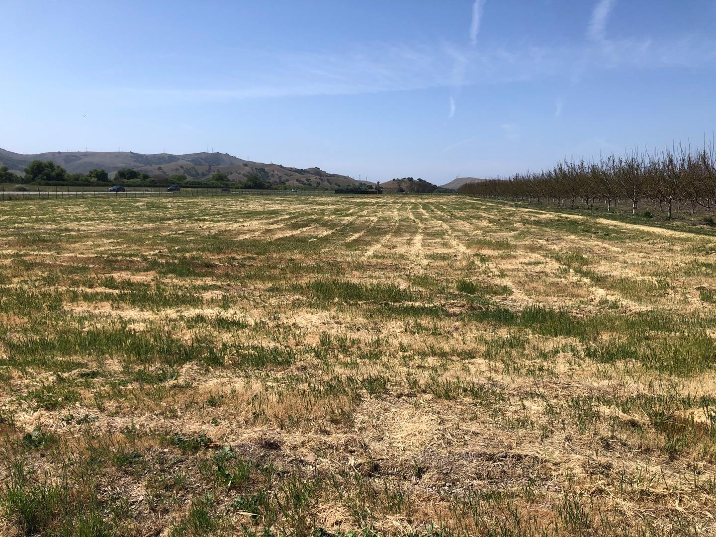 0 Richmond Avenue, MORGAN HILL, California 95037, ,Lots And Land,For Sale,Richmond Avenue,40964551