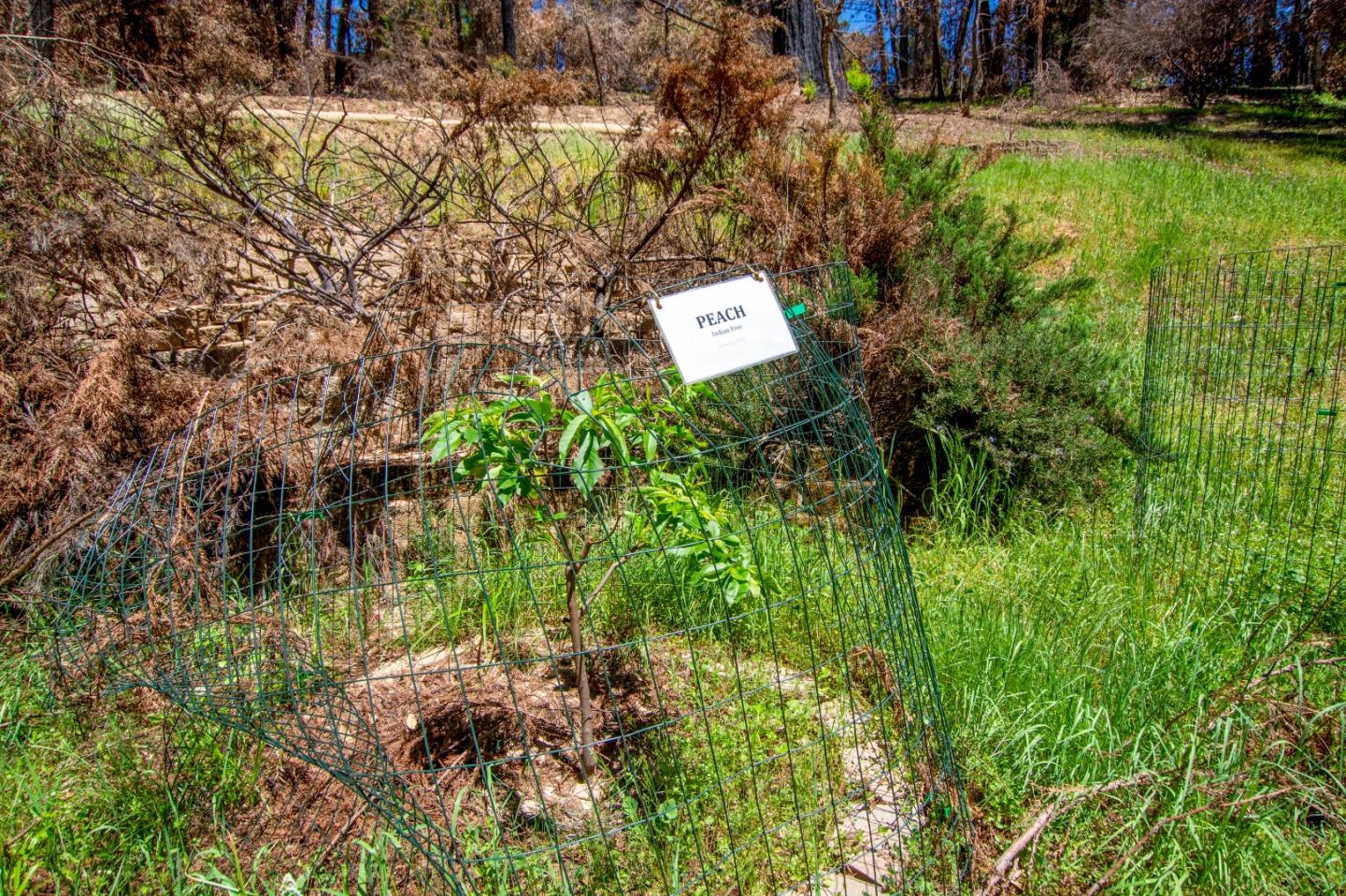 24 Everest, BOULDER CREEK, California 95006, ,Lots And Land,For Sale,Everest,40964552