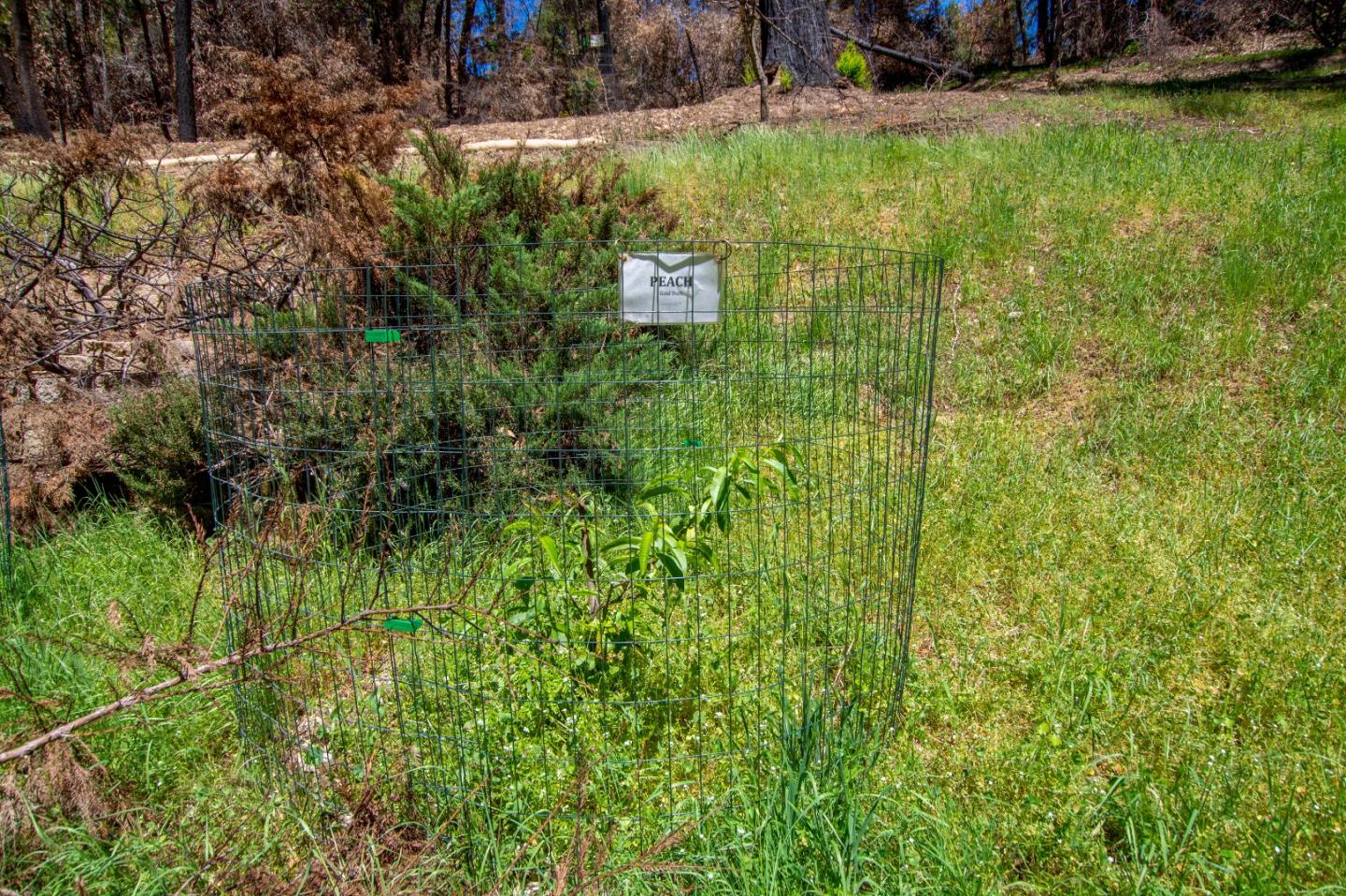 24 Everest, BOULDER CREEK, California 95006, ,Lots And Land,For Sale,Everest,40964552