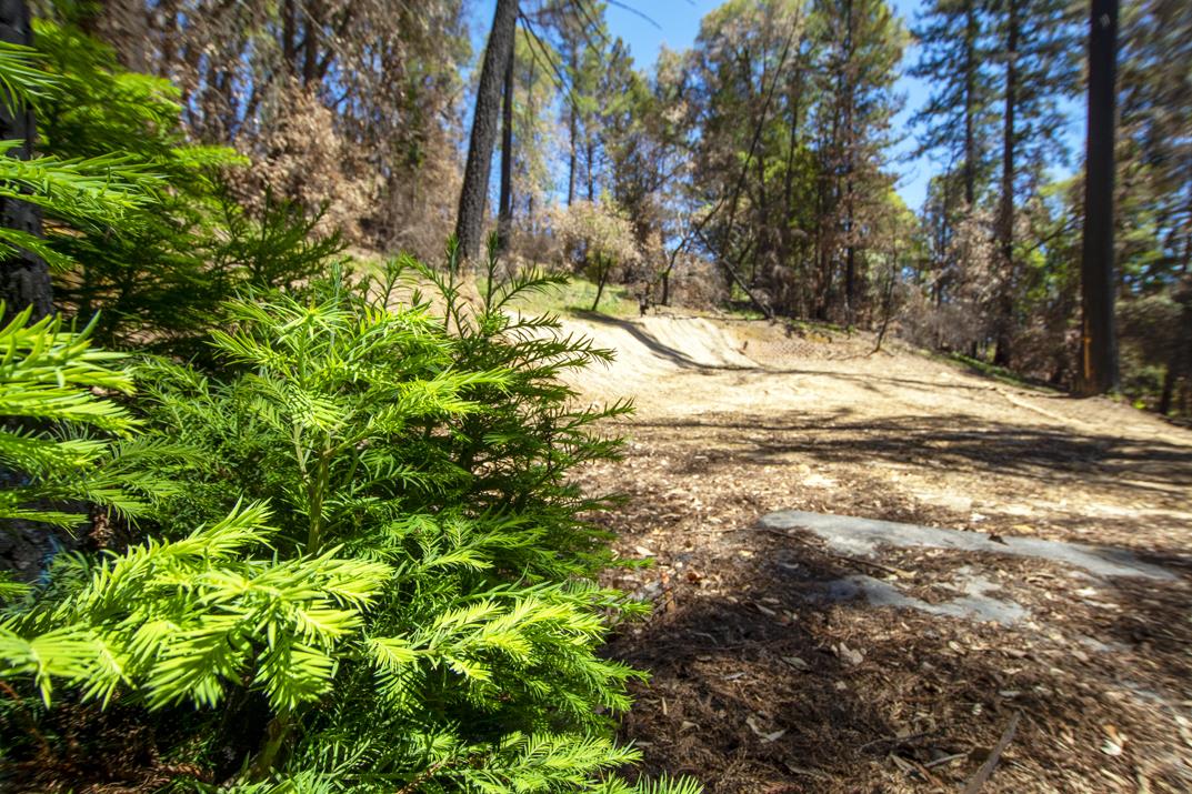 24 Everest, BOULDER CREEK, California 95006, ,Lots And Land,For Sale,Everest,40964552