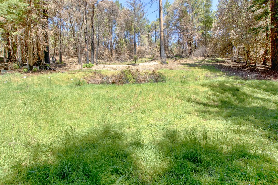 24 Everest, BOULDER CREEK, California 95006, ,Lots And Land,For Sale,Everest,40964552