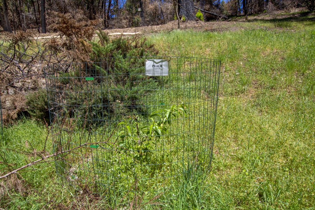 24 Everest, BOULDER CREEK, California 95006, ,Lots And Land,For Sale,Everest,40964552