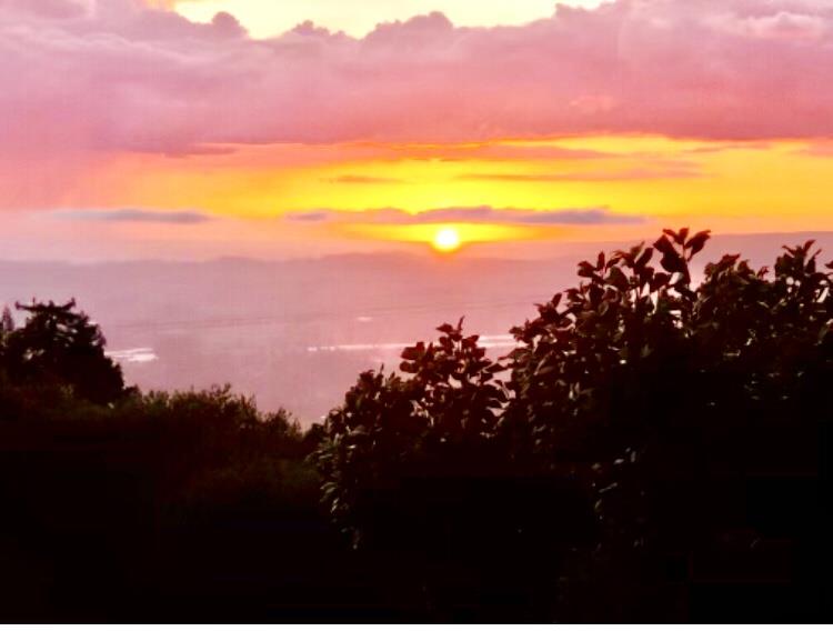 0 Pacific View Terrace, WATSONVILLE, California 95076, ,Lots And Land,For Sale,Pacific View Terrace,40964559