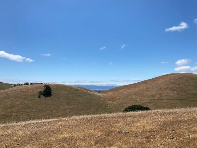 0000 Vargas Road, FREMONT, California 94539, ,Lots And Land,For Sale,Vargas Road,40964566
