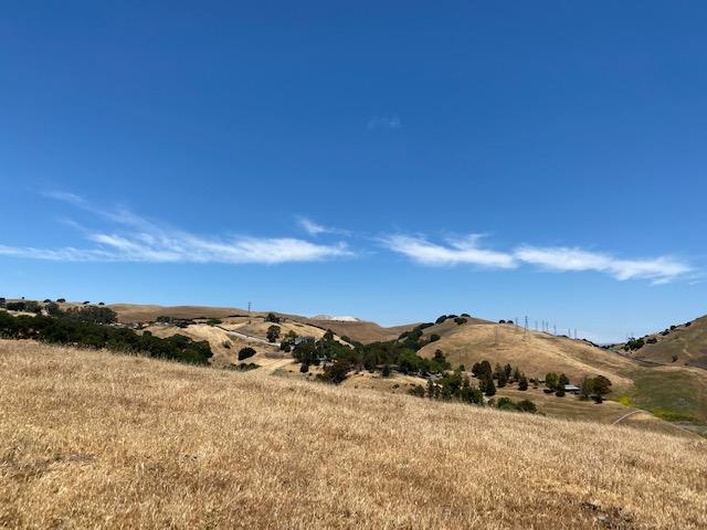 0000 Vargas Road, FREMONT, California 94539, ,Lots And Land,For Sale,Vargas Road,40964566