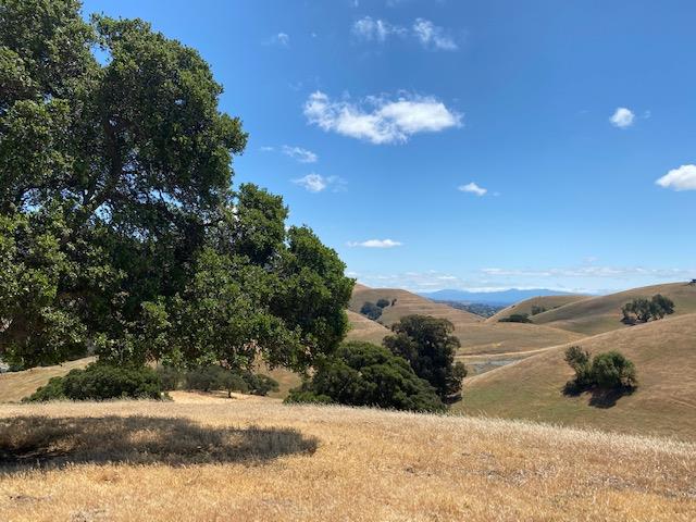 0000 Vargas Road, FREMONT, California 94539, ,Lots And Land,For Sale,Vargas Road,40964566