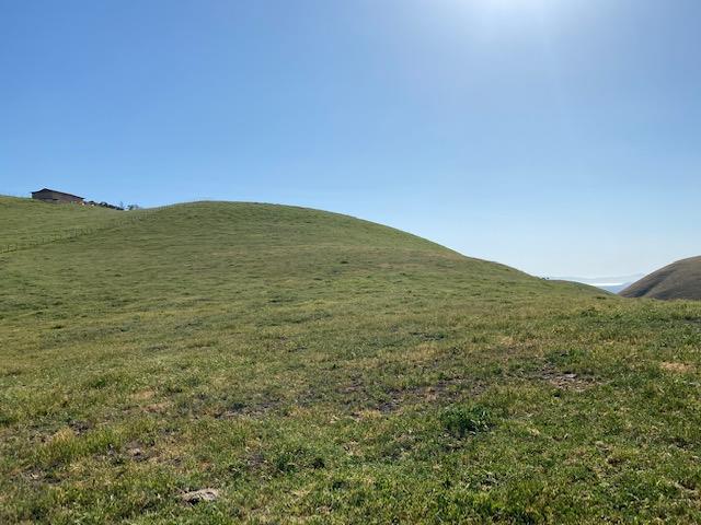 0000 Vargas Road, FREMONT, California 94539, ,Lots And Land,For Sale,Vargas Road,40964566