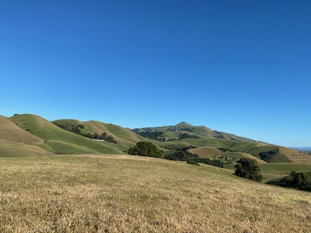 0000 Vargas Road, FREMONT, California 94539, ,Lots And Land,For Sale,Vargas Road,40964566