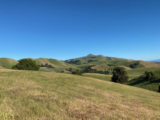0000 Vargas Road, FREMONT, California 94539, ,Lots And Land,For Sale,Vargas Road,40964566
