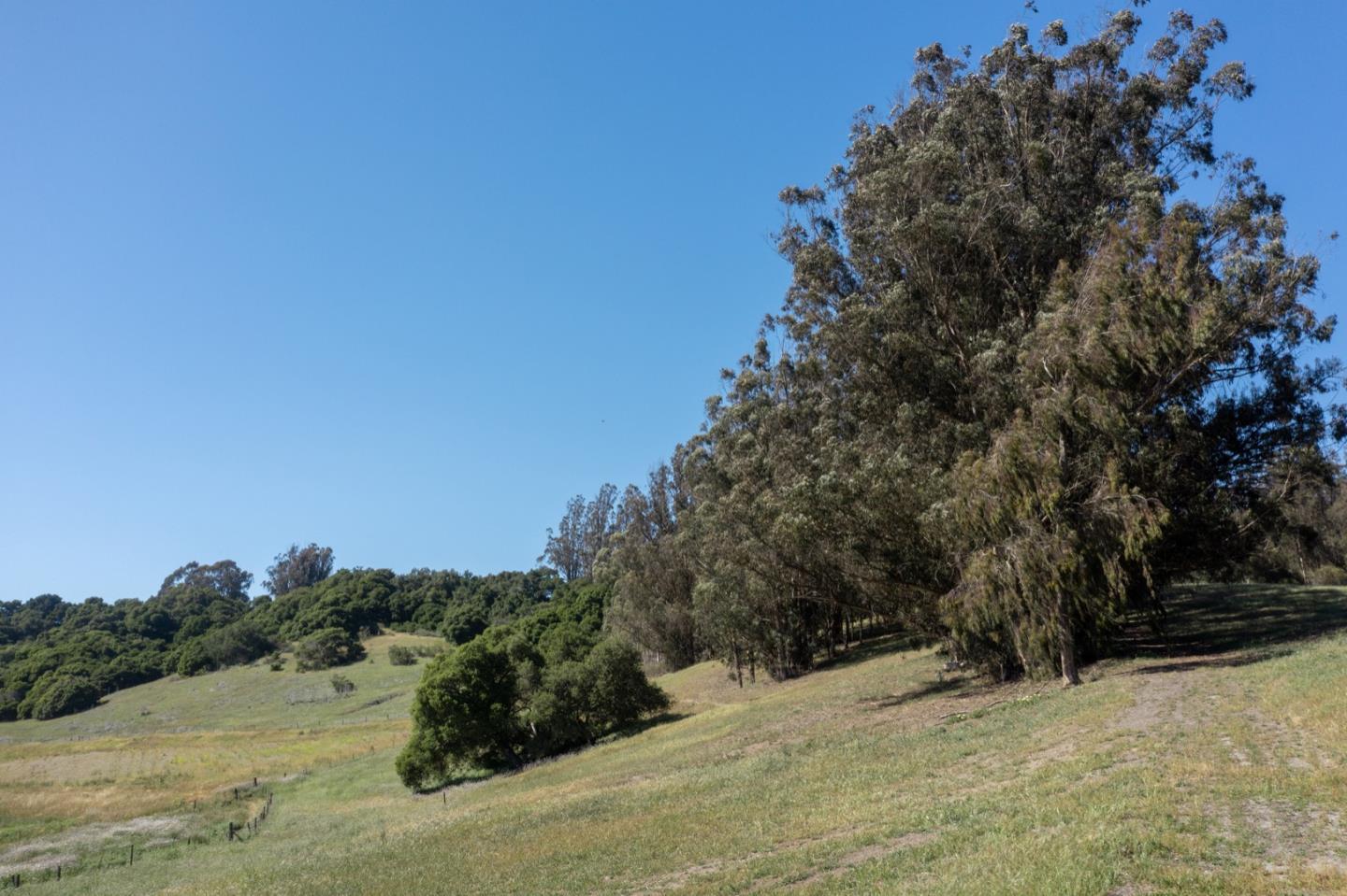 955 & 970 Hall Road, ROYAL OAKS, California 95076, ,Lots And Land,For Sale,Hall Road,40964571