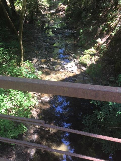 410 Fern Ridge, FELTON, California 95018, ,Lots And Land,For Sale,Fern Ridge,40964572