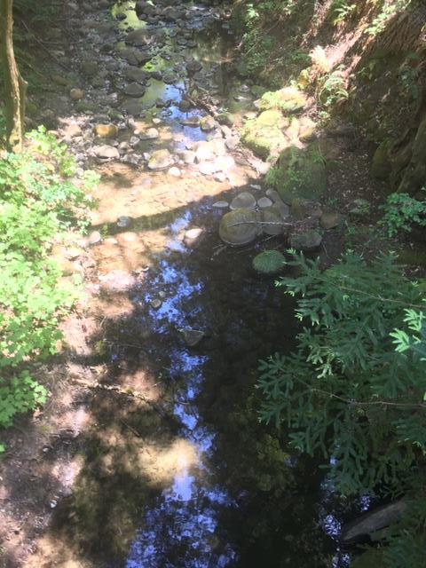410 Fern Ridge, FELTON, California 95018, ,Lots And Land,For Sale,Fern Ridge,40964572