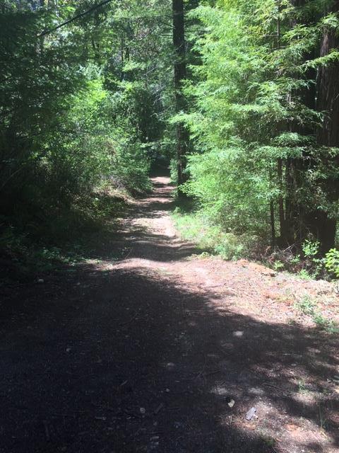 410 Fern Ridge, FELTON, California 95018, ,Lots And Land,For Sale,Fern Ridge,40964572
