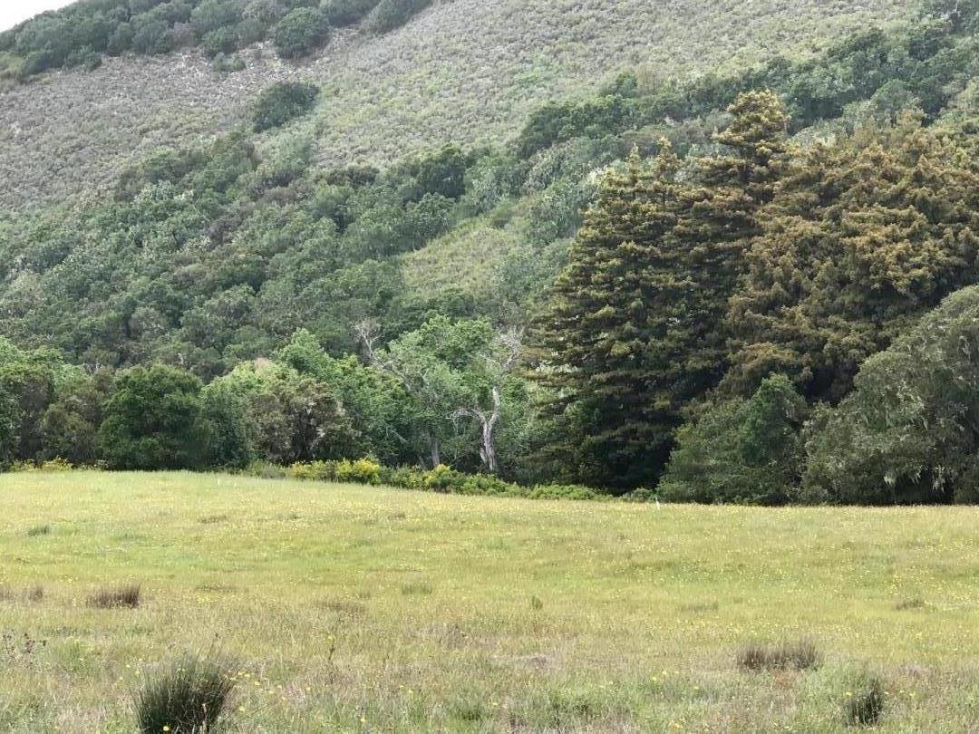 18 Potrero Trail, CARMEL, California 93923, ,Lots And Land,For Sale,Potrero Trail,40964573