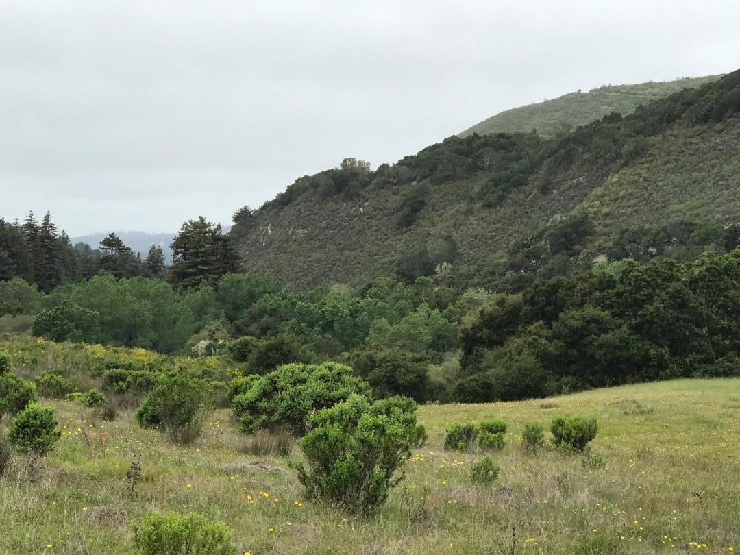 18 Potrero Trail, CARMEL, California 93923, ,Lots And Land,For Sale,Potrero Trail,40964573