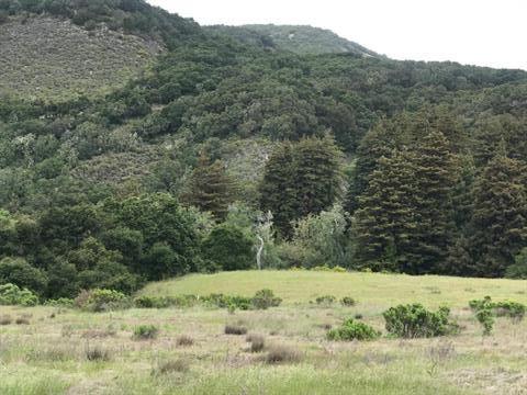 18 Potrero Trail, CARMEL, California 93923, ,Lots And Land,For Sale,Potrero Trail,40964573