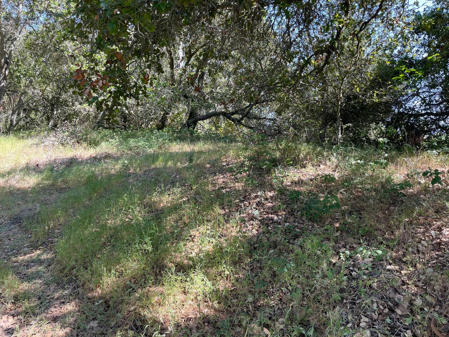 0 Poli Road, MORGAN HILL, California 95037, ,Lots And Land,For Sale,Poli Road,40964584