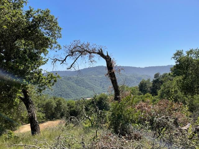 0 Poli Road, MORGAN HILL, California 95037, ,Lots And Land,For Sale,Poli Road,40964584