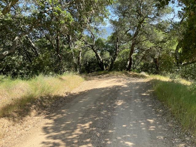 0 Poli Road, MORGAN HILL, California 95037, ,Lots And Land,For Sale,Poli Road,40964584