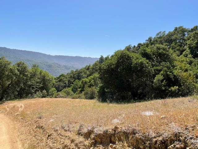 0 Poli Road, MORGAN HILL, California 95037, ,Lots And Land,For Sale,Poli Road,40964584