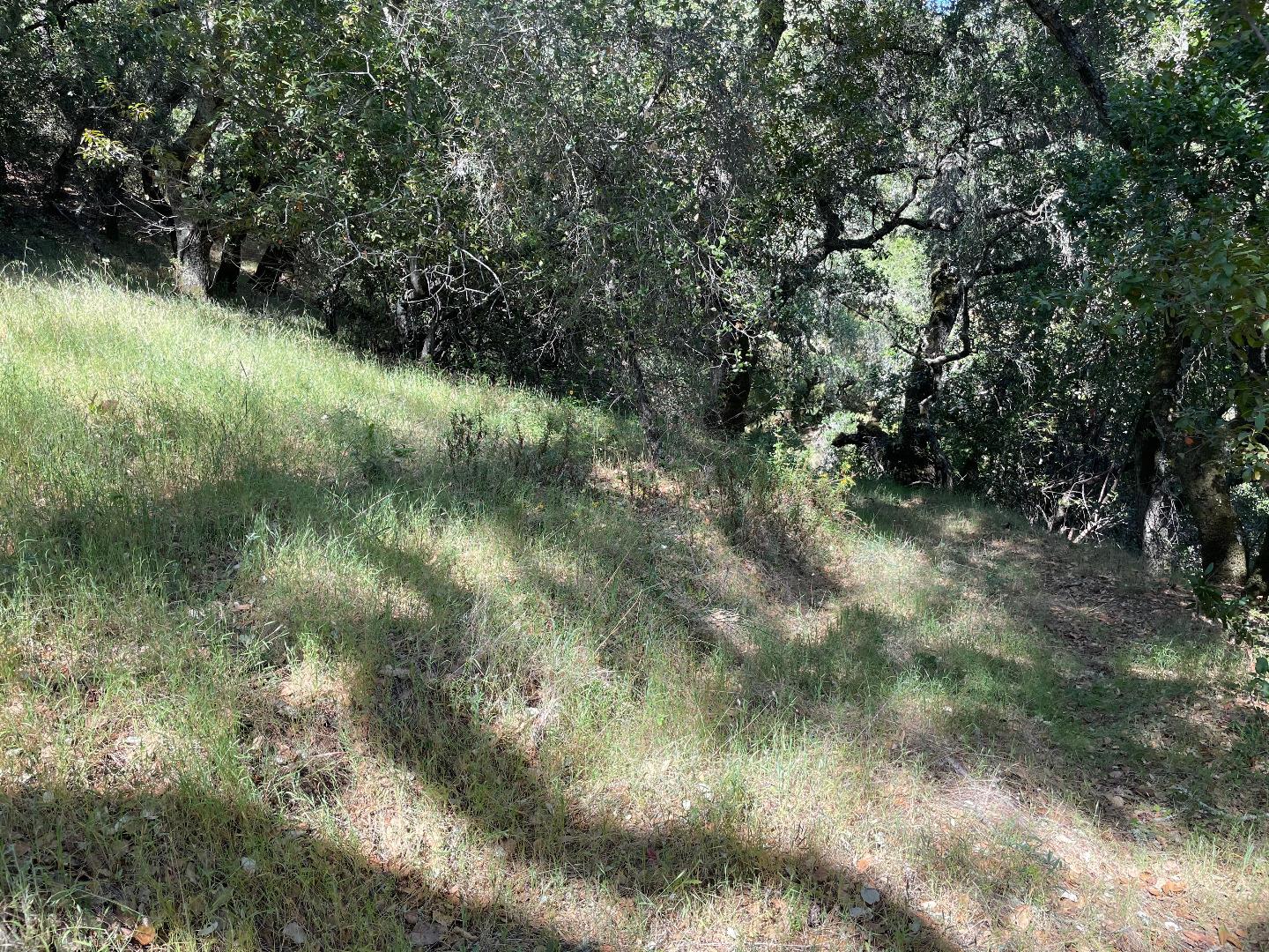 0 Poli Road, MORGAN HILL, California 95037, ,Lots And Land,For Sale,Poli Road,40964584