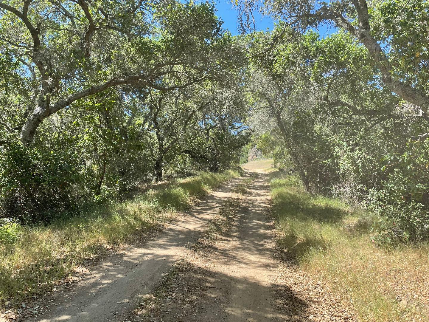 0 Poli Road, MORGAN HILL, California 95037, ,Lots And Land,For Sale,Poli Road,40964584