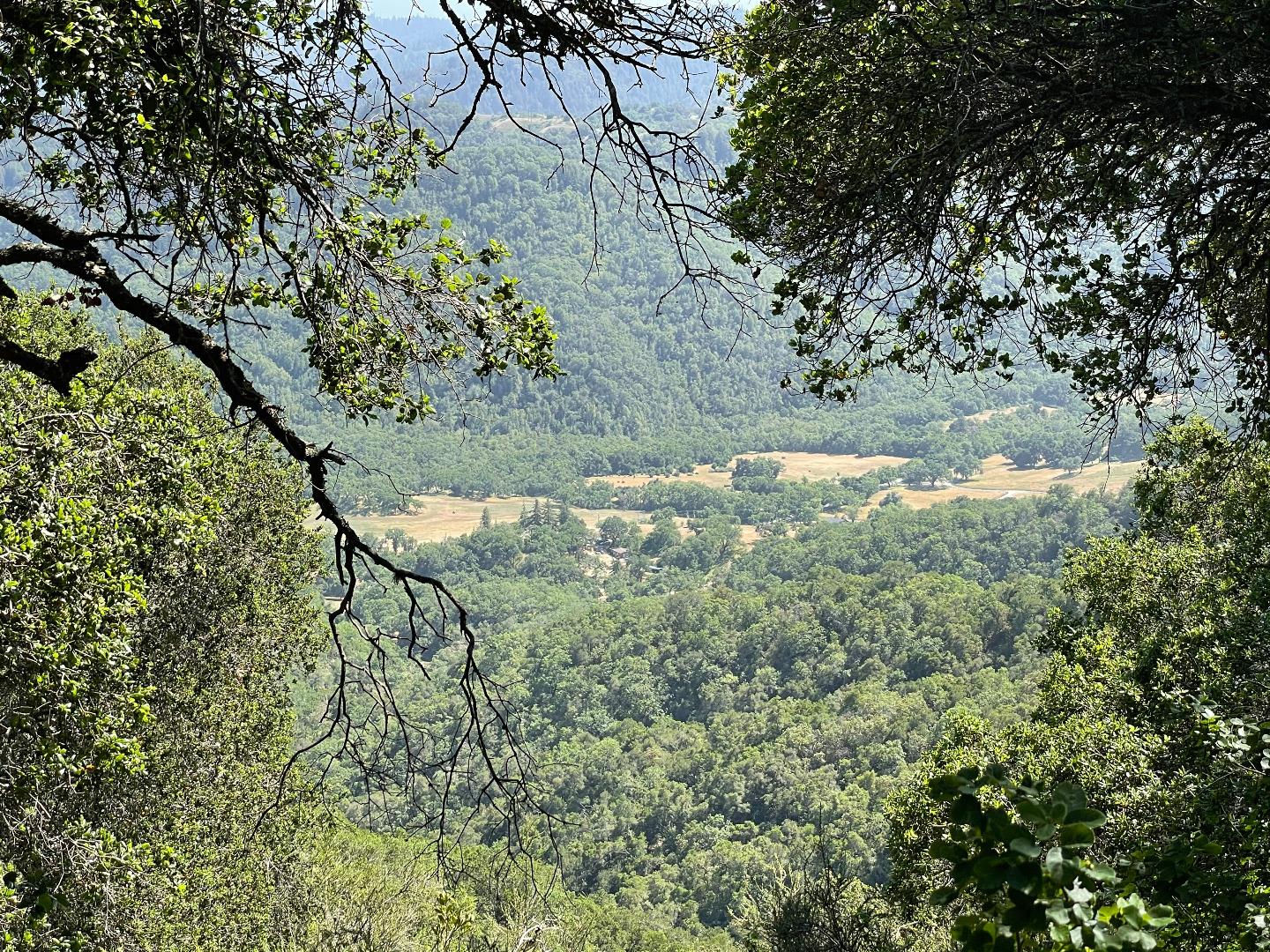 0 Poli Road, MORGAN HILL, California 95037, ,Lots And Land,For Sale,Poli Road,40964584