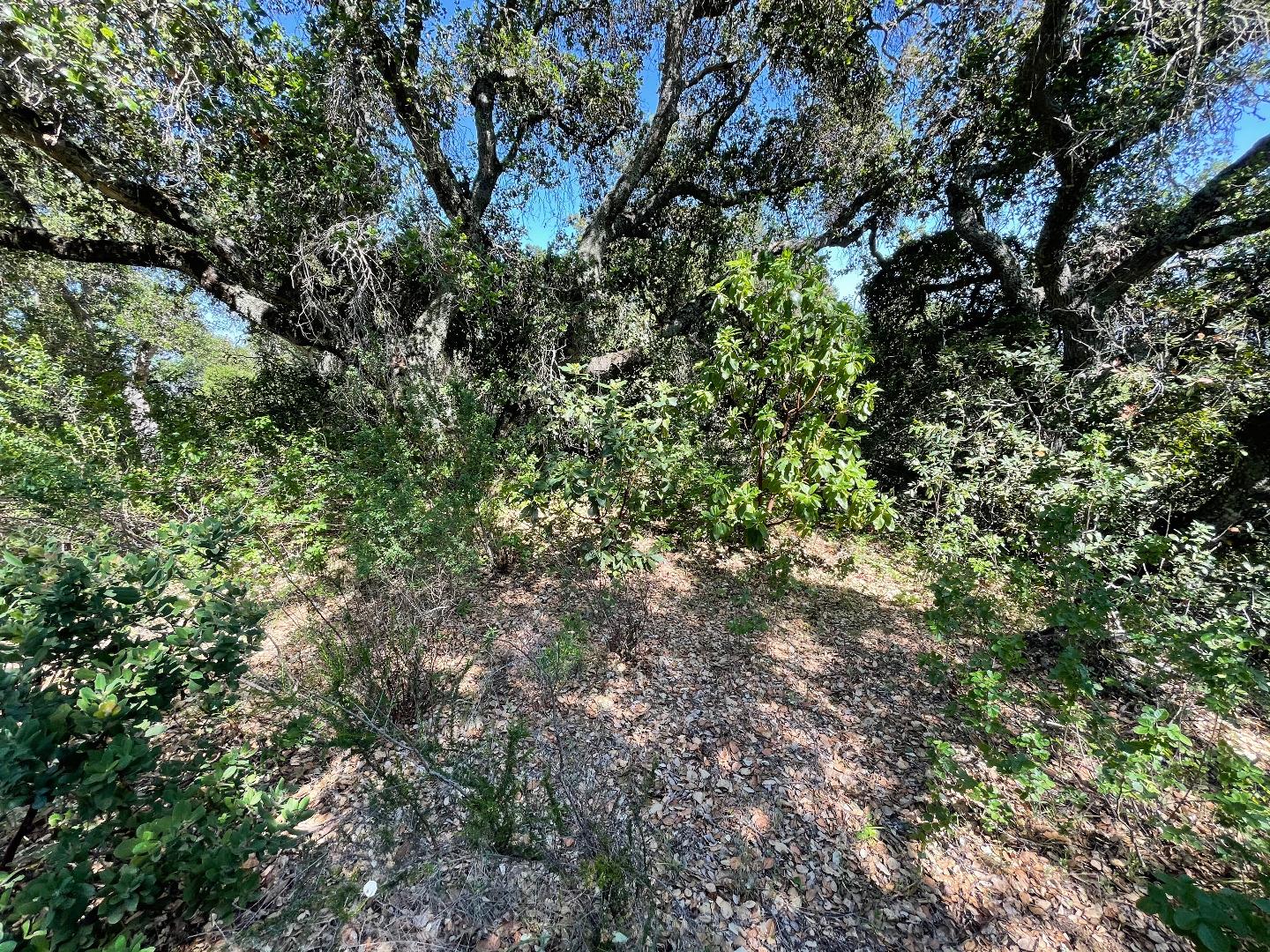 0 Poli Road, MORGAN HILL, California 95037, ,Lots And Land,For Sale,Poli Road,40964584