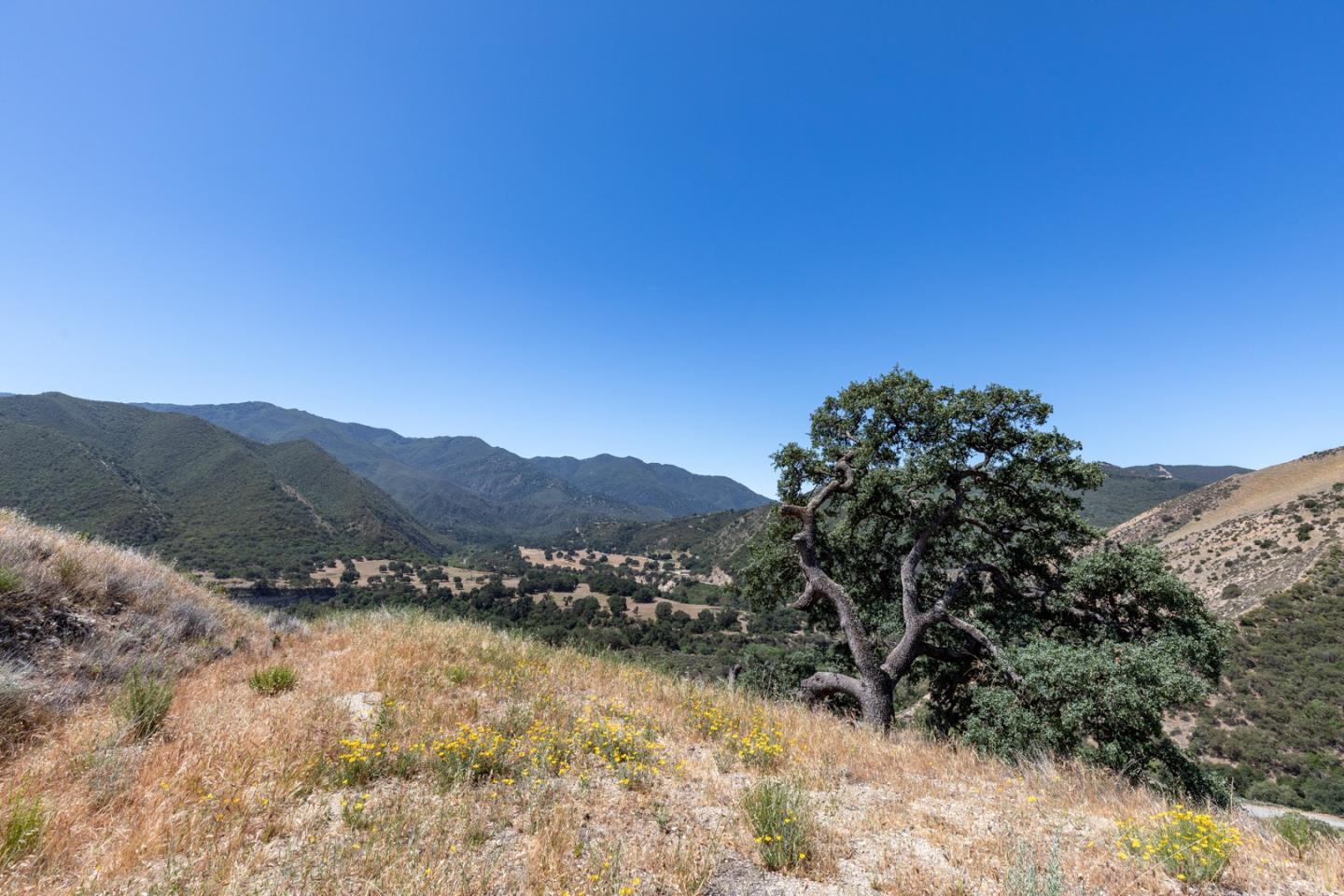 45841 Carmel Valley Road, GREENFIELD, California 93927, ,Lots And Land,For Sale,Carmel Valley Road,40964596