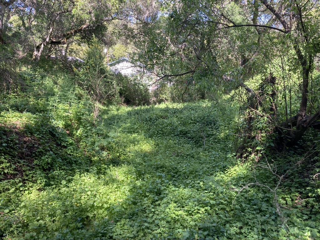 0 Marburger Avenue, BELMONT, California 94002, ,Lots And Land,For Sale,Marburger Avenue,40974356