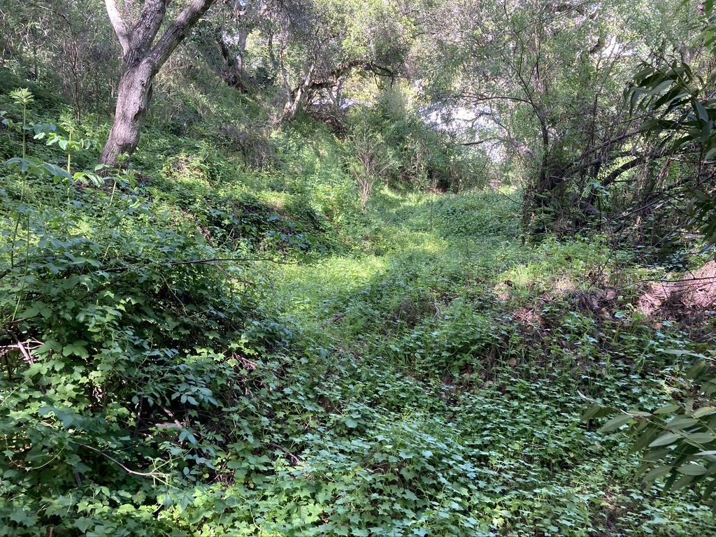 0 Marburger Avenue, BELMONT, California 94002, ,Lots And Land,For Sale,Marburger Avenue,40974356