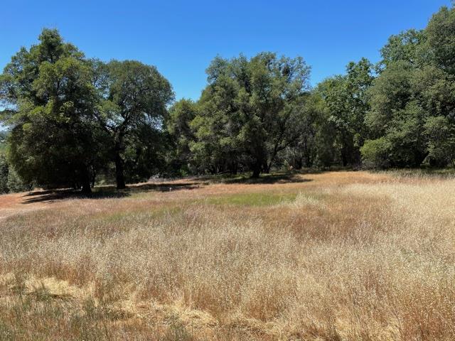 22650 Montclaire Court, GRASS VALLEY, California 95949, ,Lots And Land,For Sale,Montclaire Court,40964622