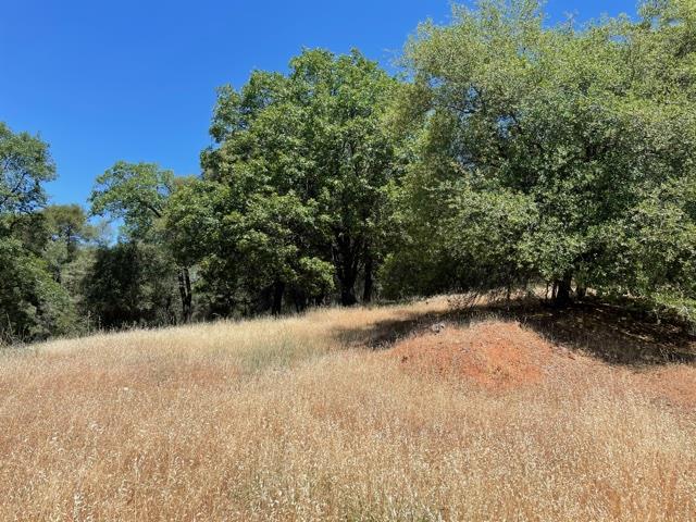 22650 Montclaire Court, GRASS VALLEY, California 95949, ,Lots And Land,For Sale,Montclaire Court,40964622