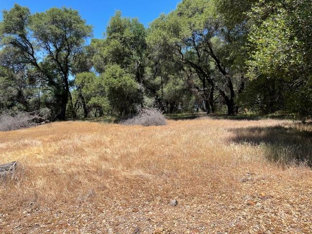 22650 Montclaire Court, GRASS VALLEY, California 95949, ,Lots And Land,For Sale,Montclaire Court,40964622