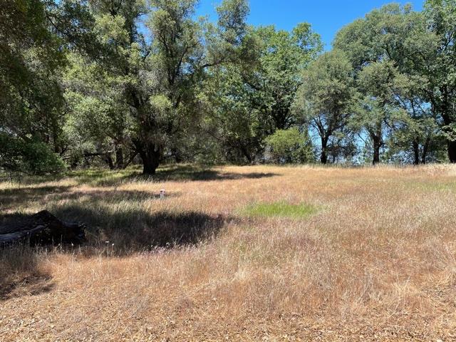 22650 Montclaire Court, GRASS VALLEY, California 95949, ,Lots And Land,For Sale,Montclaire Court,40964622