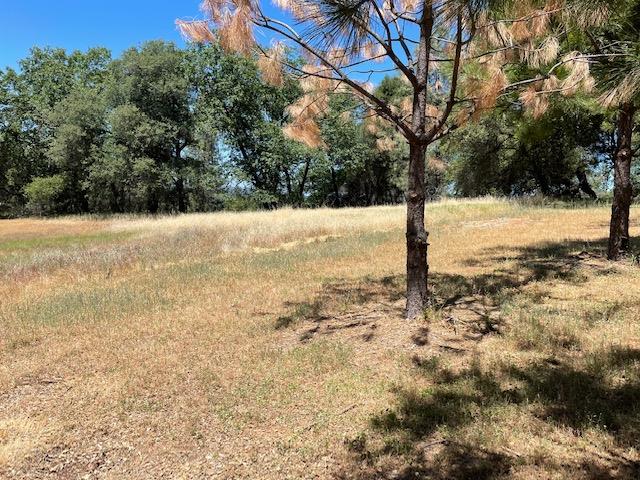 22650 Montclaire Court, GRASS VALLEY, California 95949, ,Lots And Land,For Sale,Montclaire Court,40964622