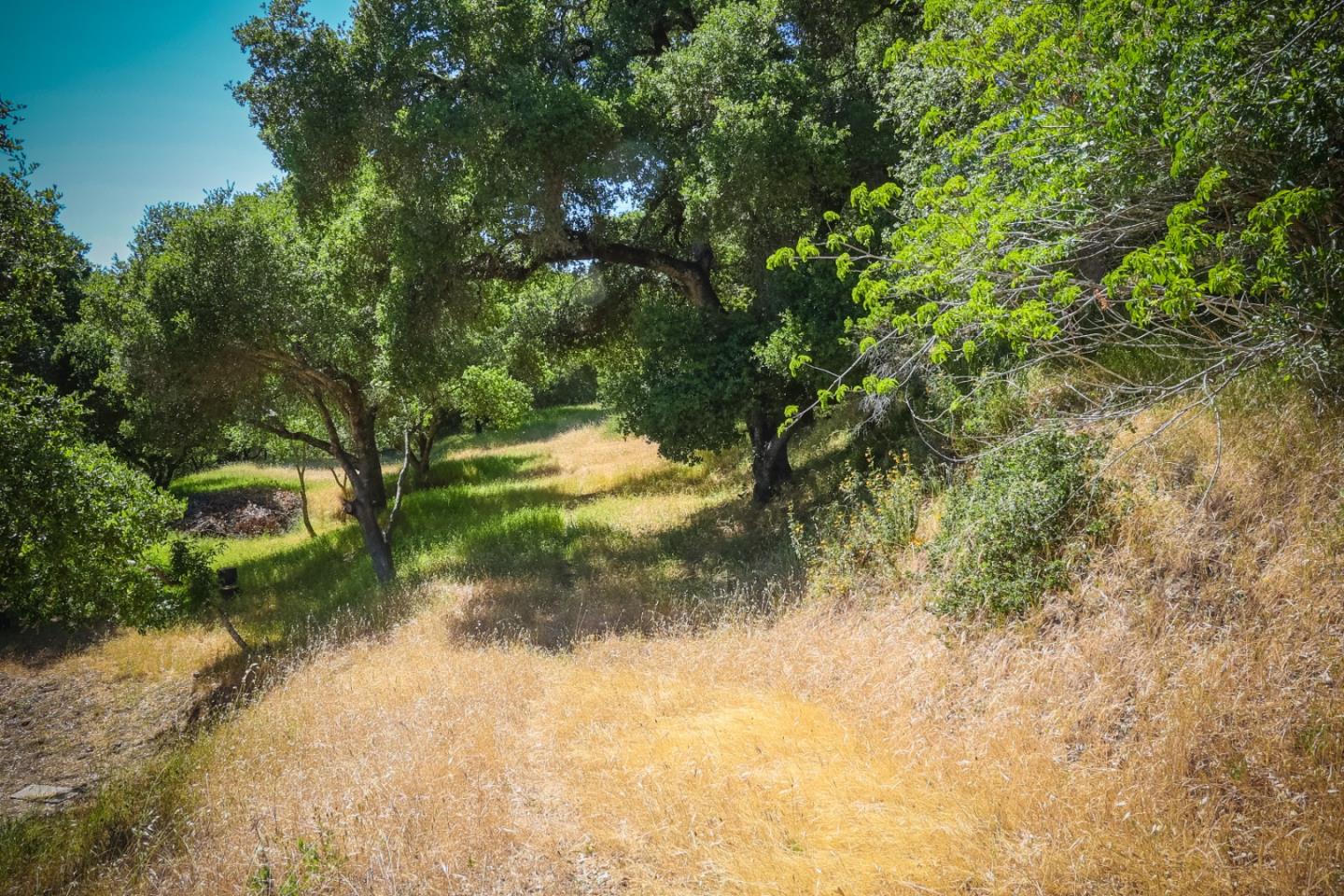 0 Sherman Drive, SCOTTS VALLEY, California 95066, ,Lots And Land,For Sale,Sherman Drive,40964625