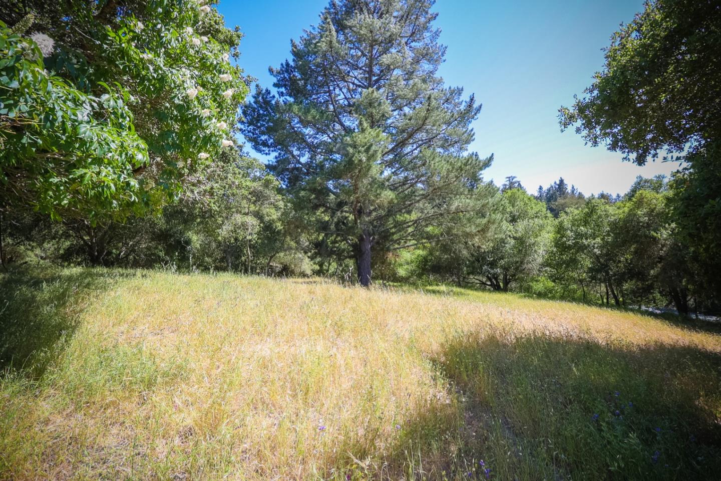0 Sherman Drive, SCOTTS VALLEY, California 95066, ,Lots And Land,For Sale,Sherman Drive,40964625