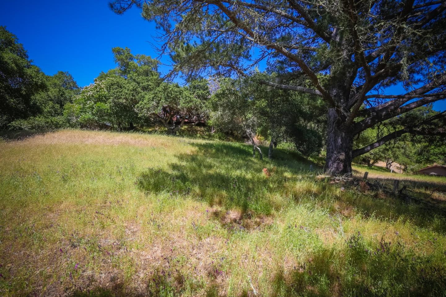 0 Sherman Drive, SCOTTS VALLEY, California 95066, ,Lots And Land,For Sale,Sherman Drive,40964625