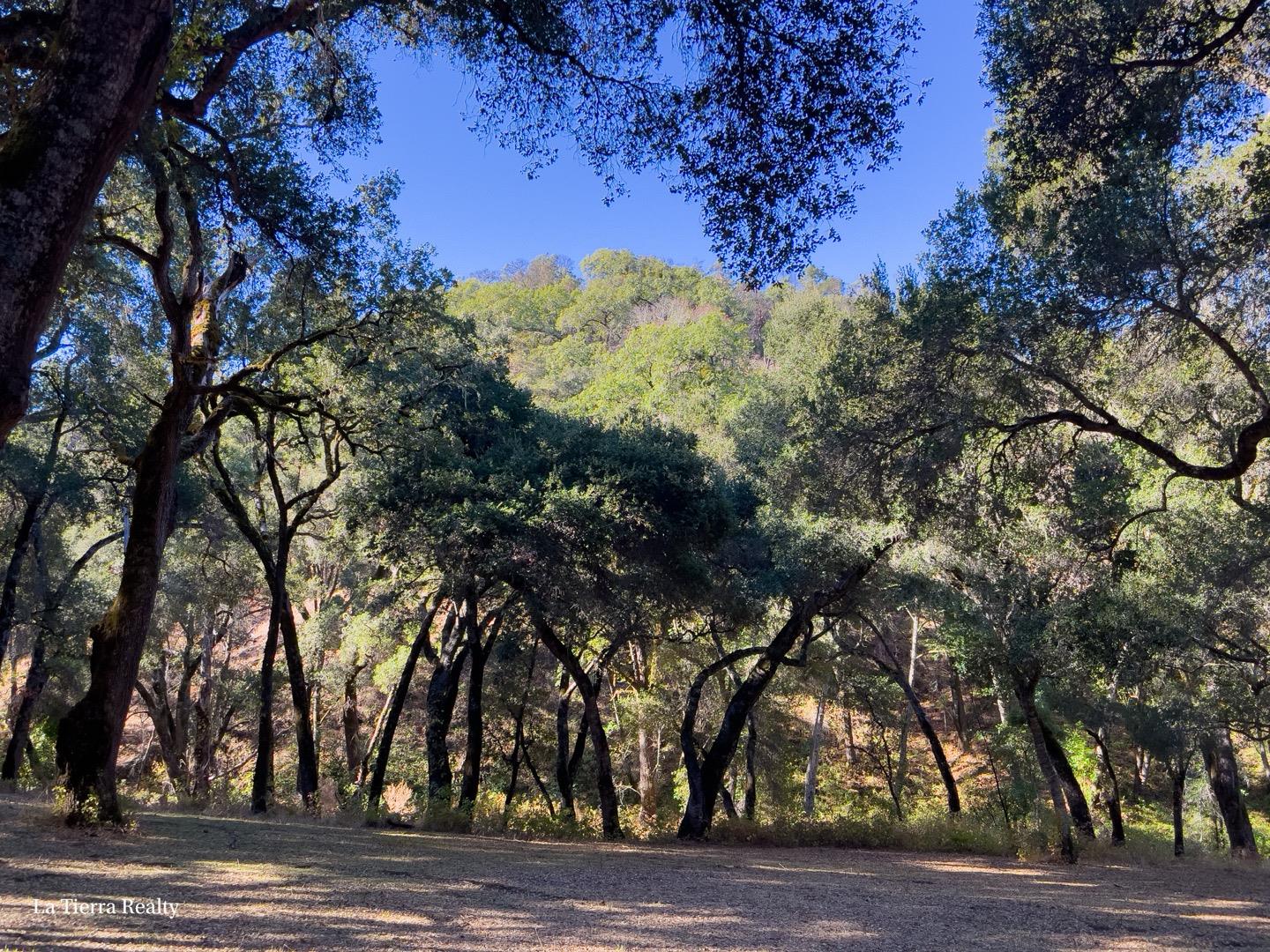 10 Garzas Trail, CARMEL, California 93923, ,Lots And Land,For Sale,Garzas Trail,40968960