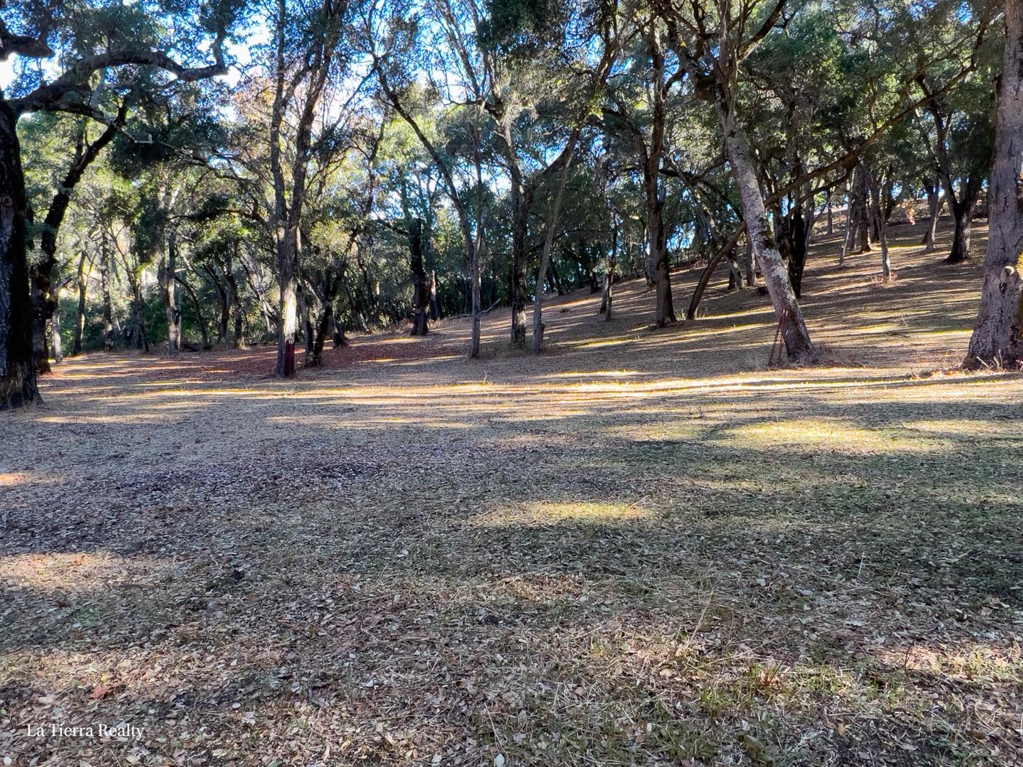 10 Garzas Trail, CARMEL, California 93923, ,Lots And Land,For Sale,Garzas Trail,40968960
